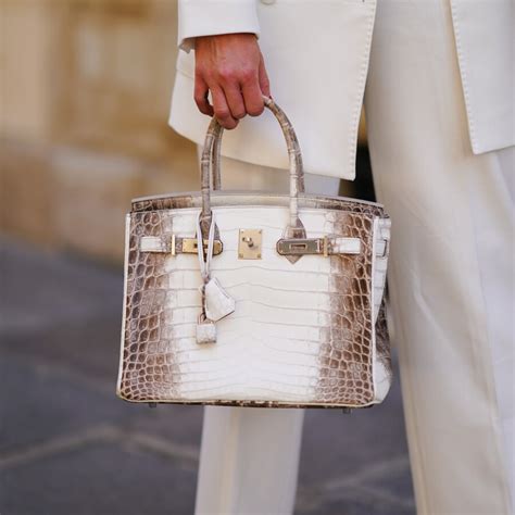 hermes birkin ginza tanaka bag|diamond himalaya birkin 30.